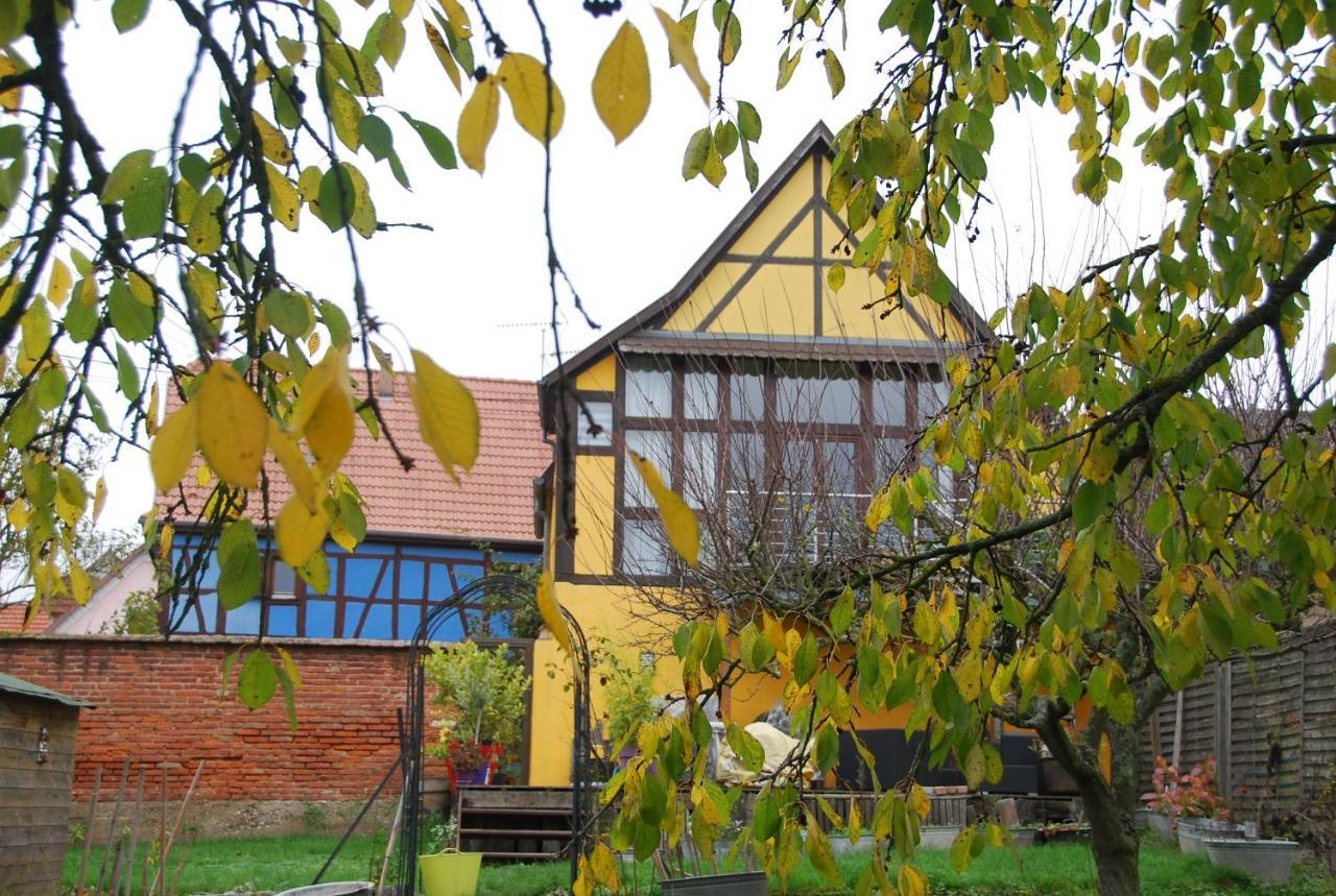 Maisonbleue67 Kurtzenhouse Bagian luar foto